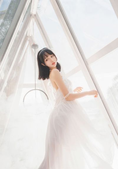 掌心电视剧免费观看完整版_免费完整版高清