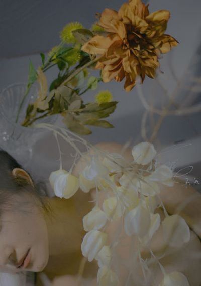 幸福草电视剧在线观看_BD韩语在线手机播放